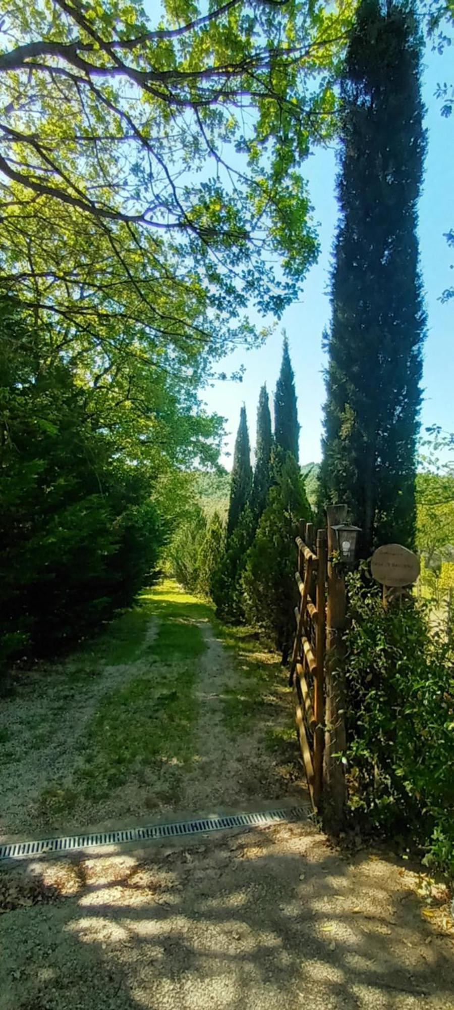 Casa In Maremma Apartment Montemerano Exterior foto